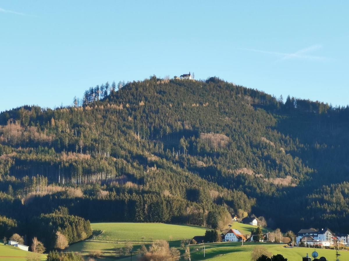 Appartement Modernes Schwarzwald Naehe Freiburg *