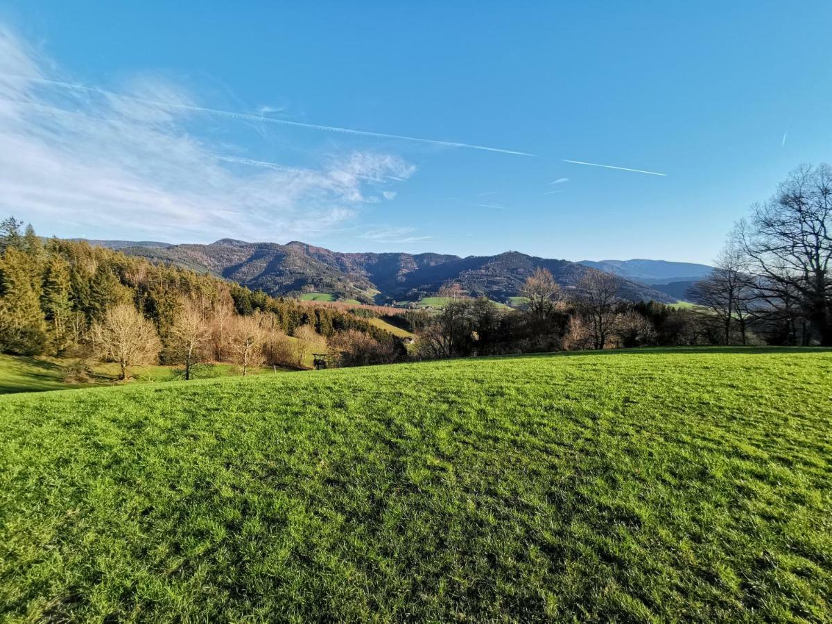 Apartment Modernes Schwarzwald Nähe Freiburg *