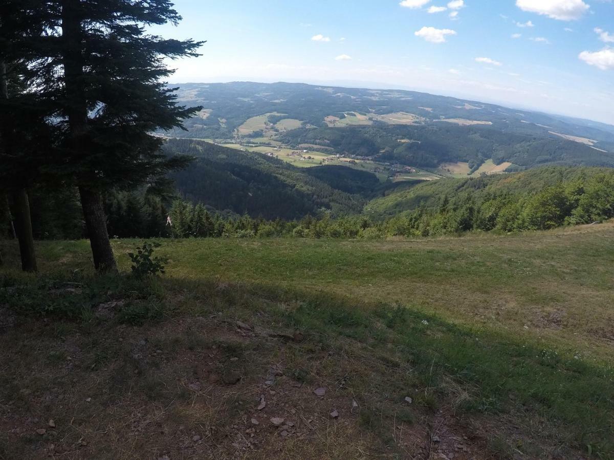 Appartement Modernes Schwarzwald Naehe Freiburg