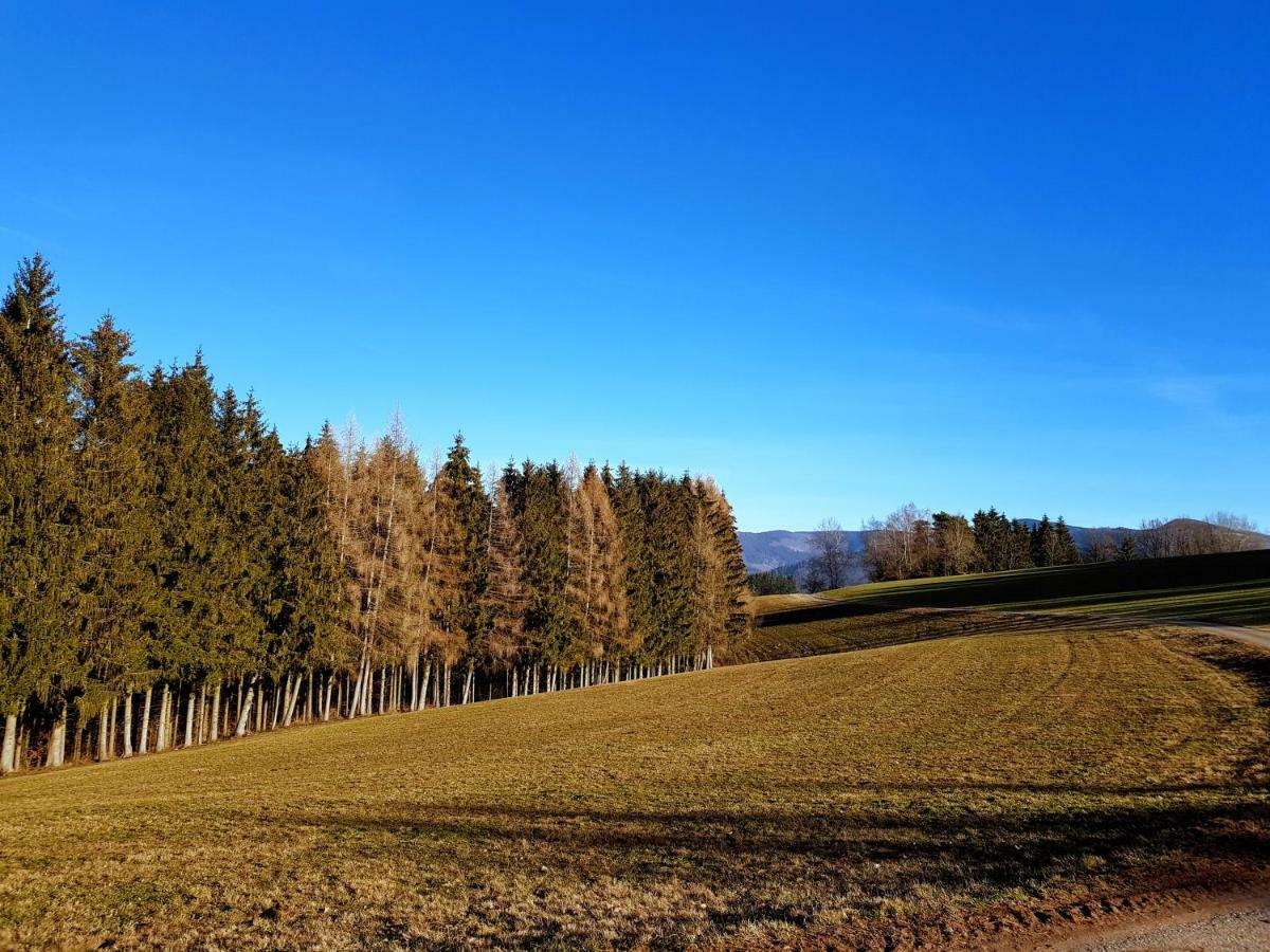 Appartement Modernes Schwarzwald Naehe Freiburg *