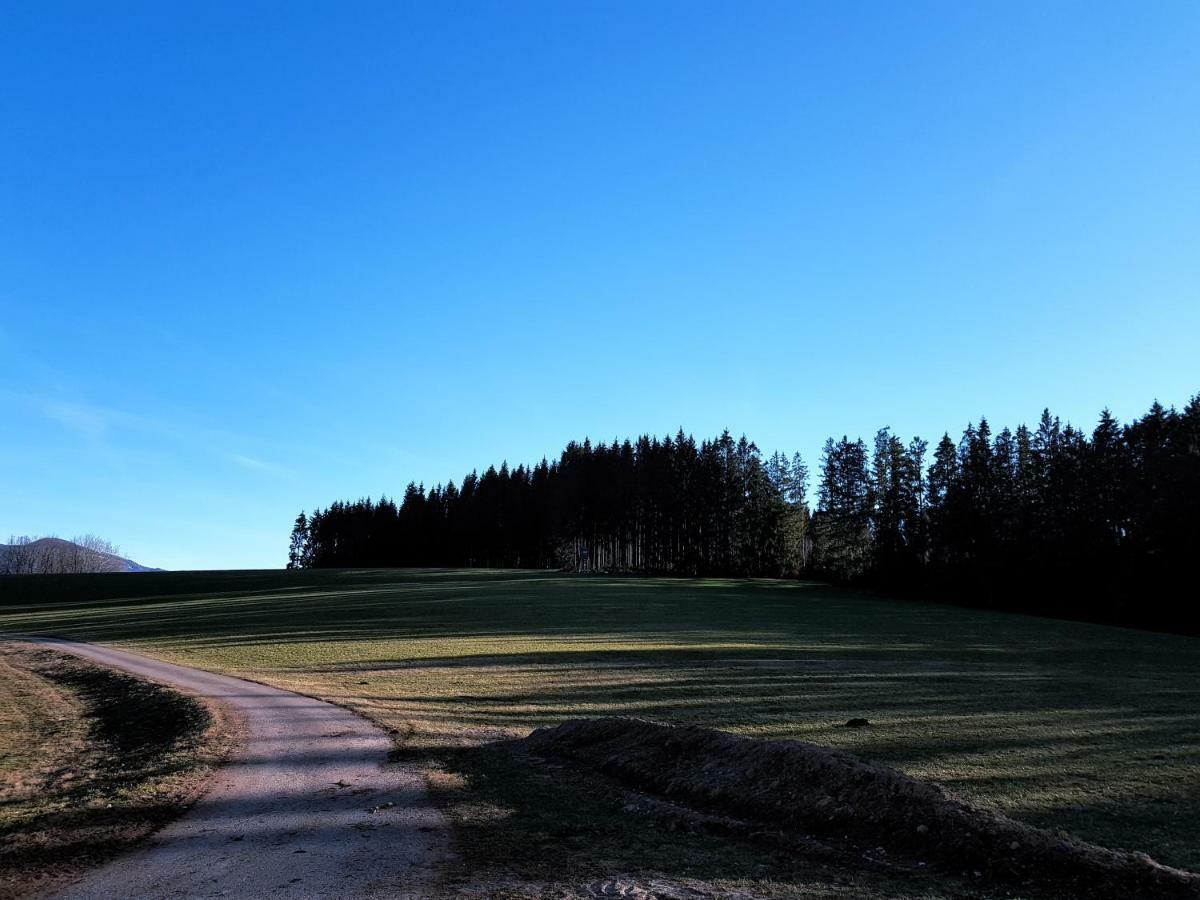 Modernes Schwarzwald Naehe Freiburg Appartement Winden im Elztal