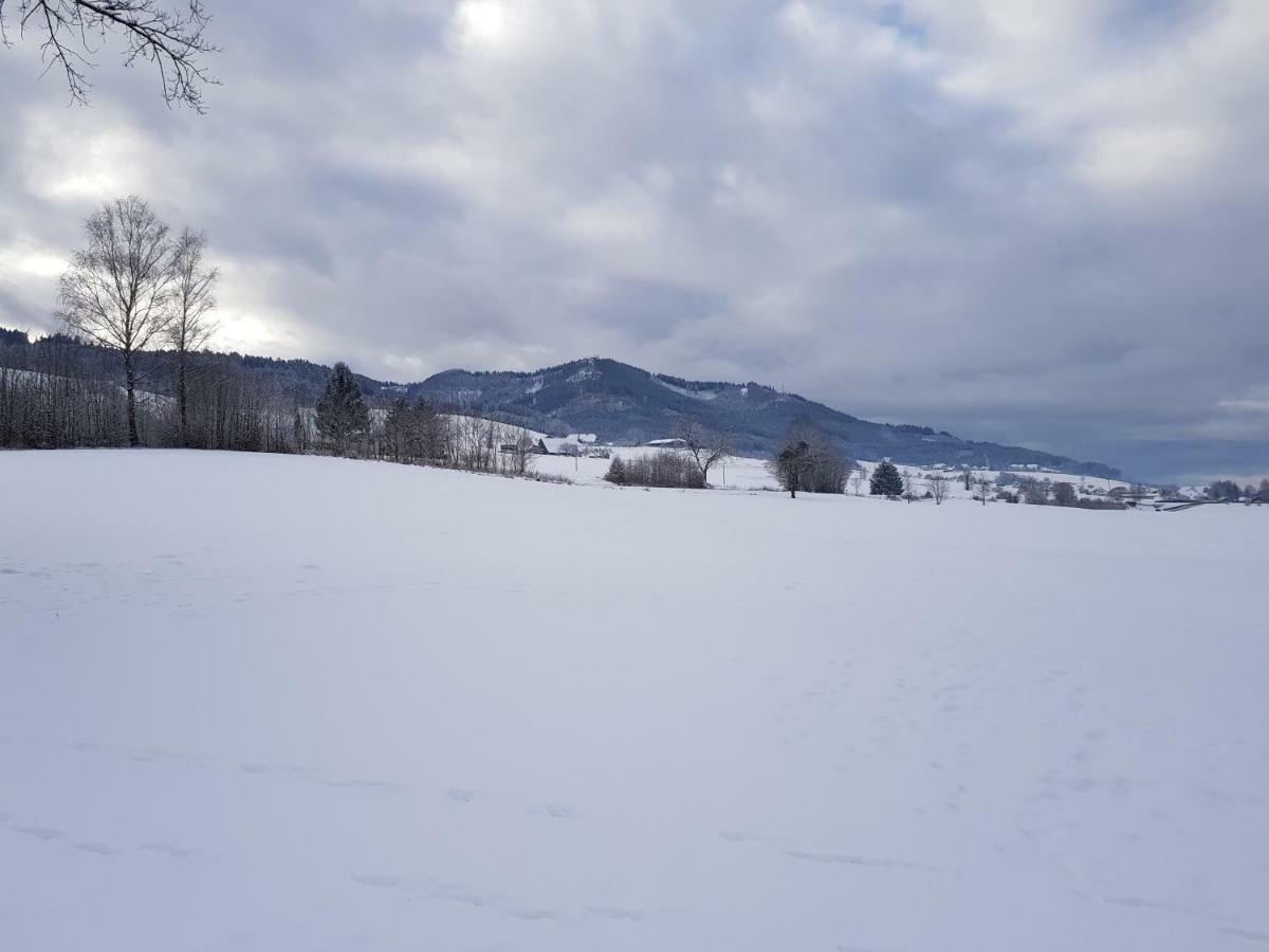 Apartment Modernes Schwarzwald Nähe Freiburg Winden im Elztal
