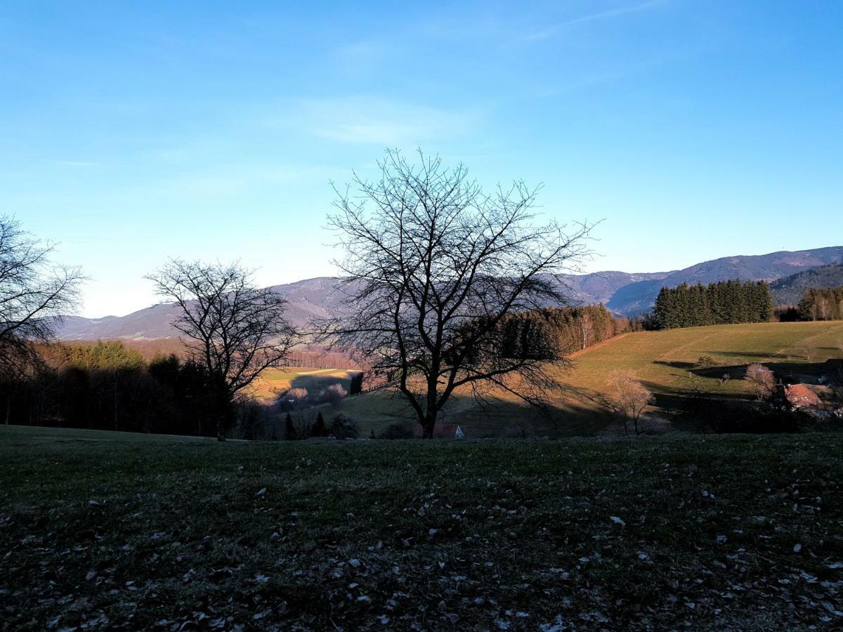 Modernes Schwarzwald Nähe Freiburg * Winden im Elztal