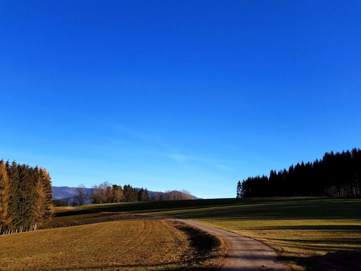 Modernes Schwarzwald Naehe Freiburg Appartement *